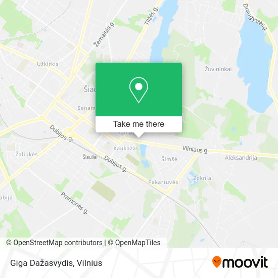 Карта Giga Dažasvydis