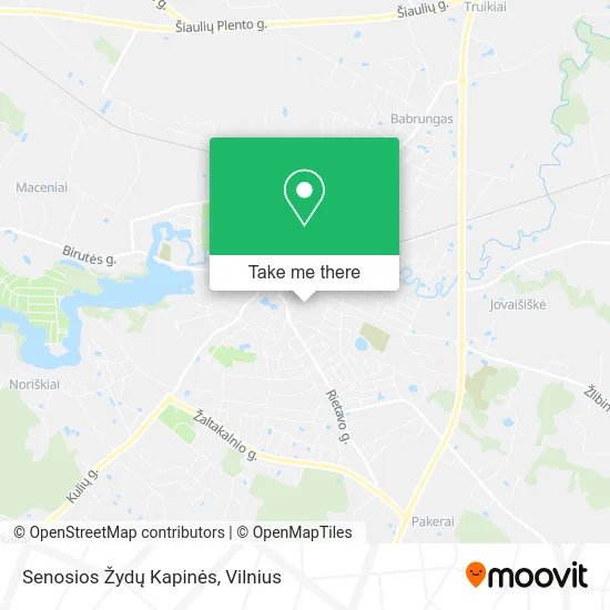 Карта Senosios Žydų Kapinės