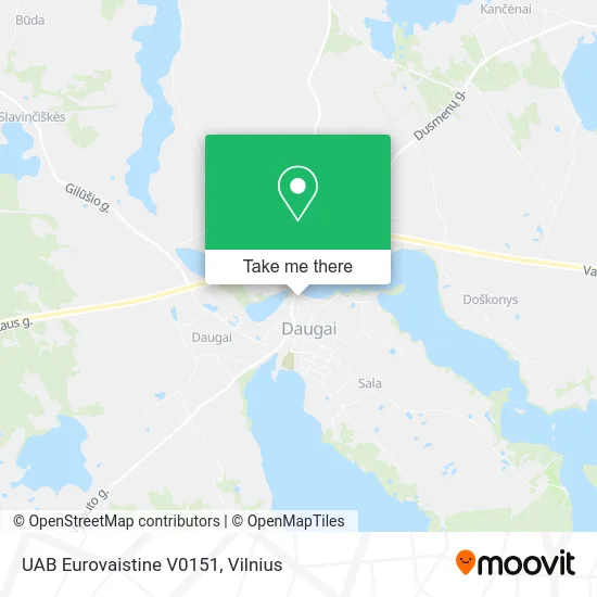 Карта UAB Eurovaistine V0151