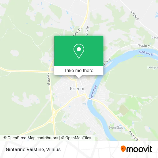 Gintarine Vaistine map