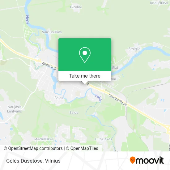 Карта Gėlės Dusetose