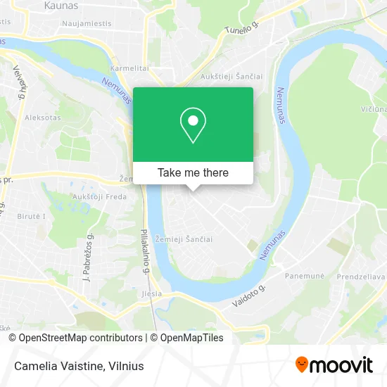 Camelia Vaistine map