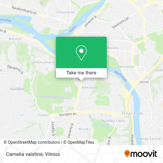 Camelia vaistinė map