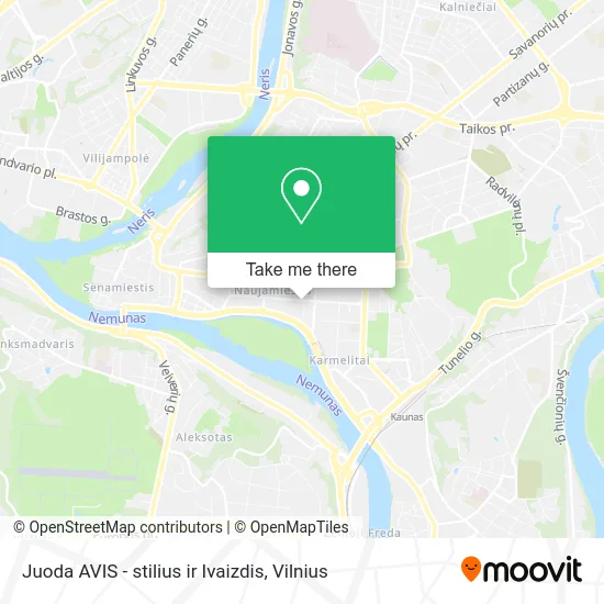 Карта Juoda AVIS - stilius ir Ivaizdis