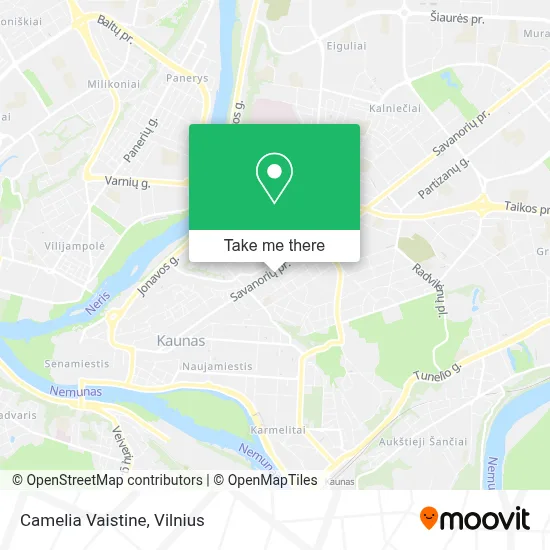 Camelia Vaistine map