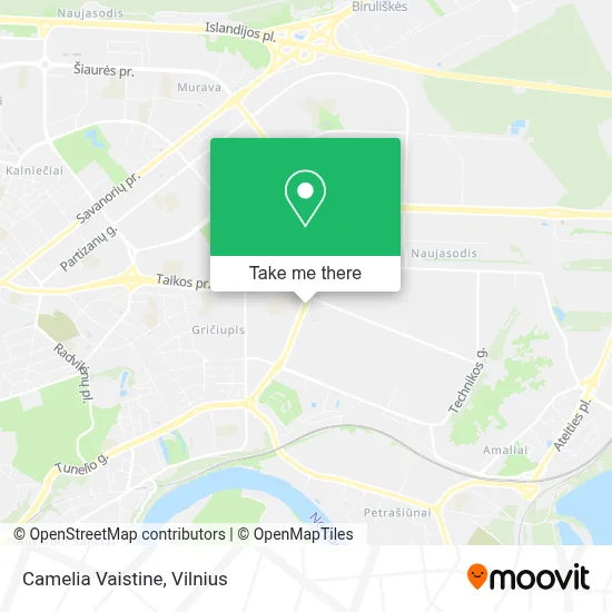 Camelia Vaistine map