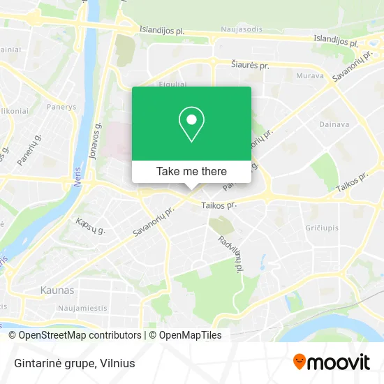 Карта Gintarinė grupe