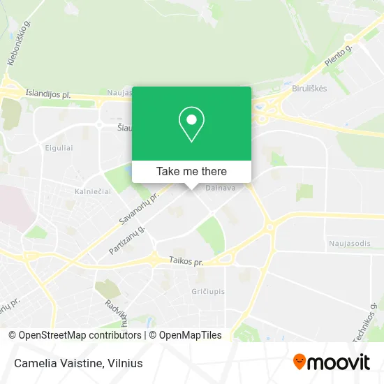 Camelia Vaistine map