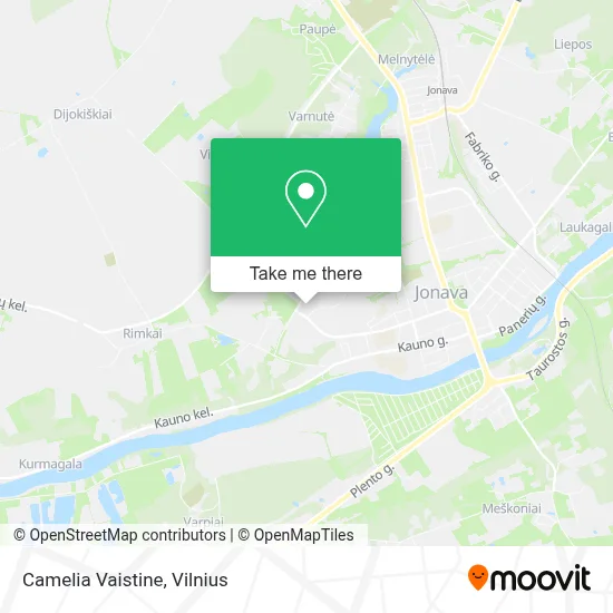 Camelia Vaistine map