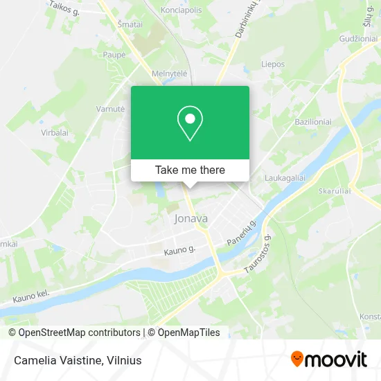 Camelia Vaistine map