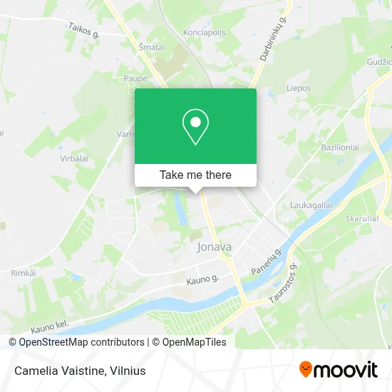 Camelia Vaistine map