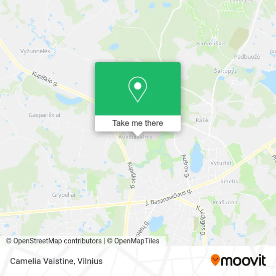 Camelia Vaistine map
