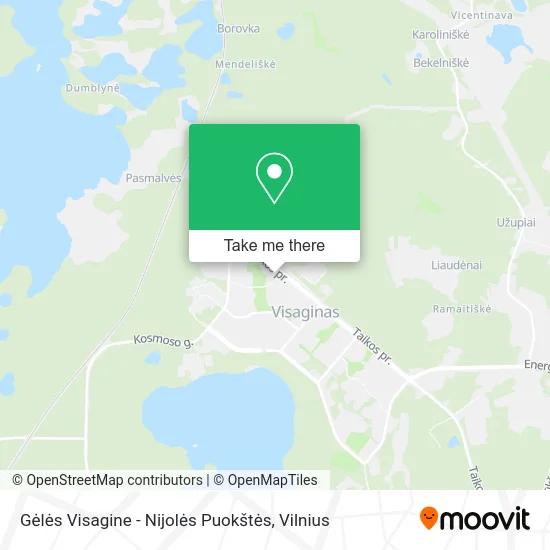 Карта Gėlės Visagine - Nijolės Puokštės