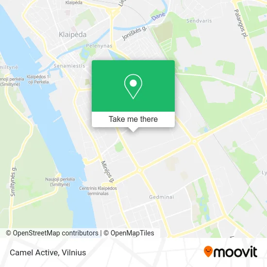 Карта Camel Active