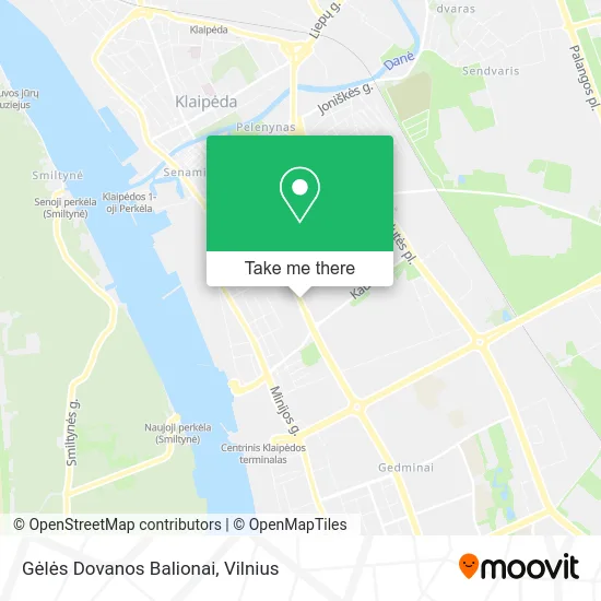 Карта Gėlės Dovanos Balionai