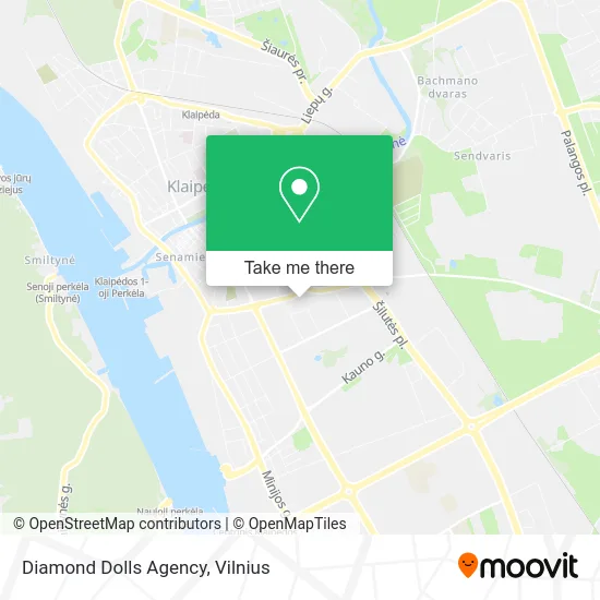 Карта Diamond Dolls Agency