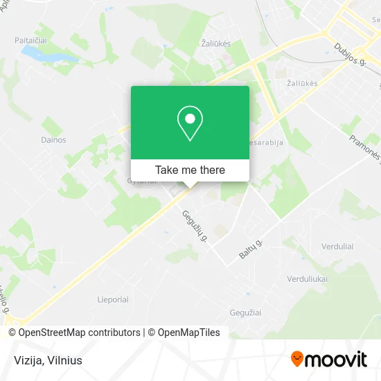 Карта Vizija