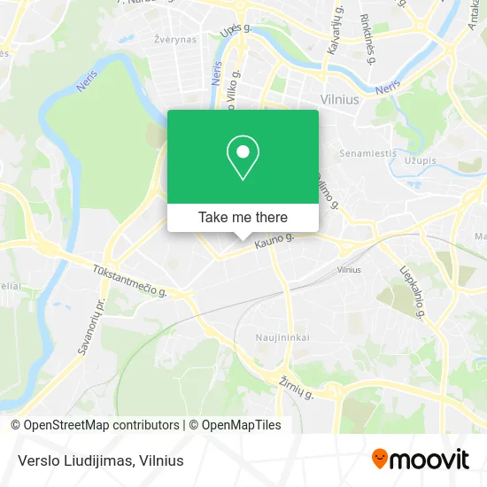 Карта Verslo Liudijimas