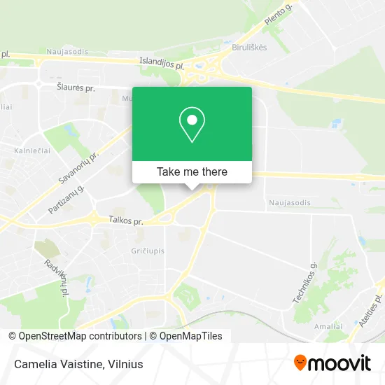 Camelia Vaistine map