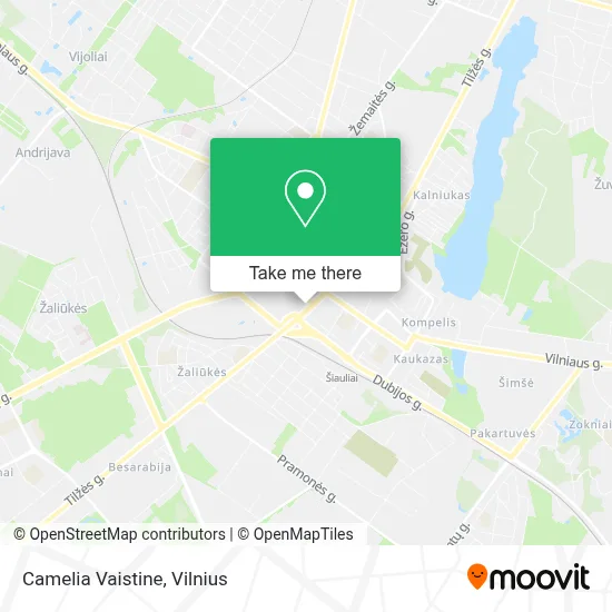 Camelia Vaistine map