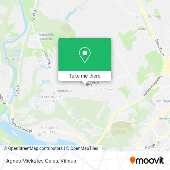 Карта Agnes Mickutes Geles