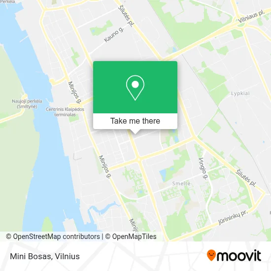 Mini Bosas map