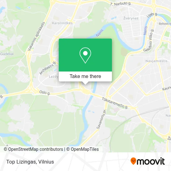 Top Lizingas map