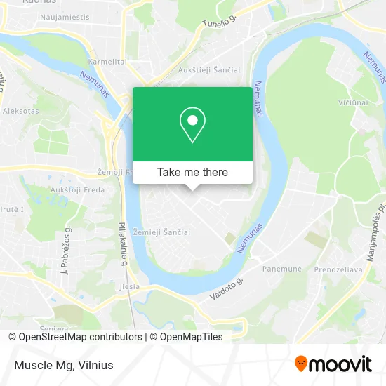 Muscle Mg map
