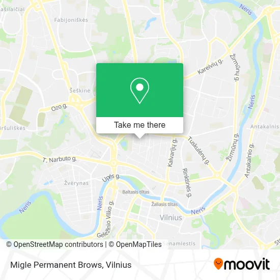 Migle Permanent Brows map