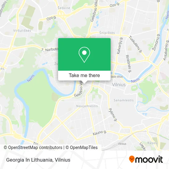 Georgia In Lithuania map