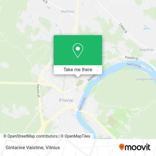 Gintarine Vaistine map