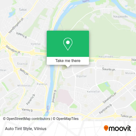 Auto Tint Style map