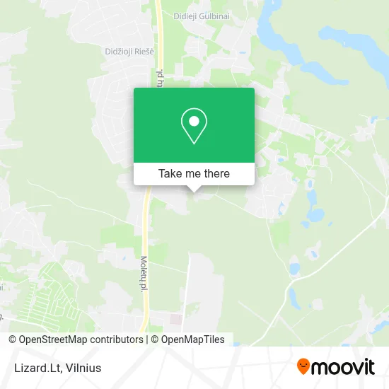 Lizard.Lt map