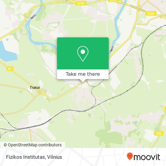 Fizikos Institutas map