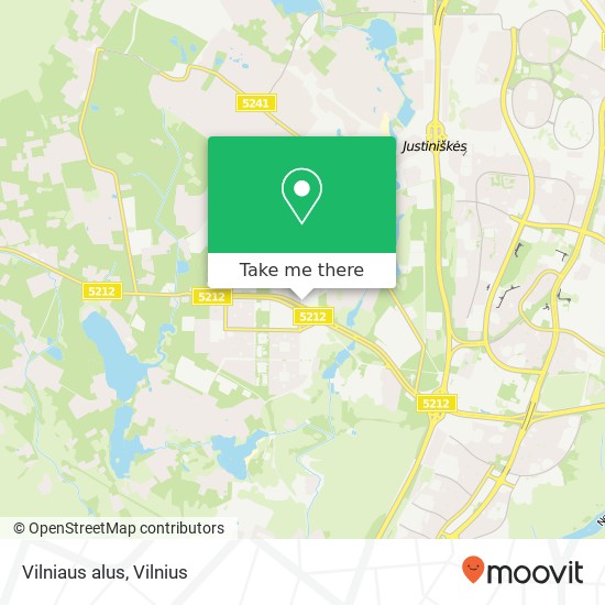 Vilniaus alus map
