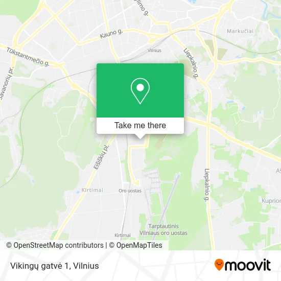 Карта Vikingų gatvė 1
