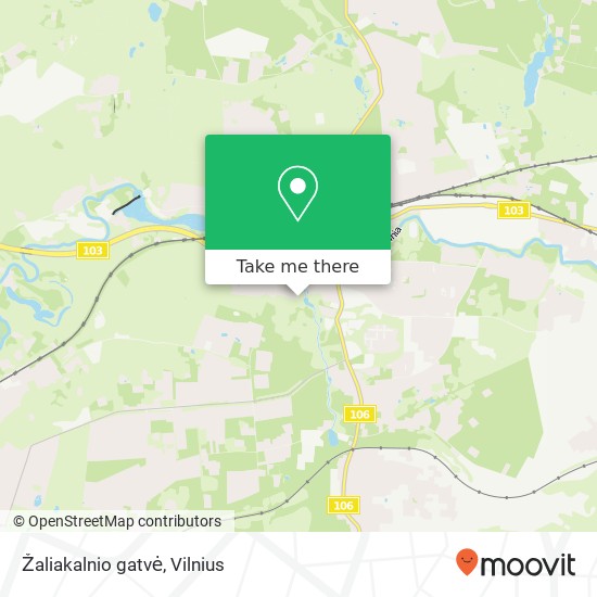 Žaliakalnio gatvė map