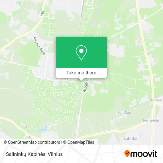 Карта Salininkų Kapinės