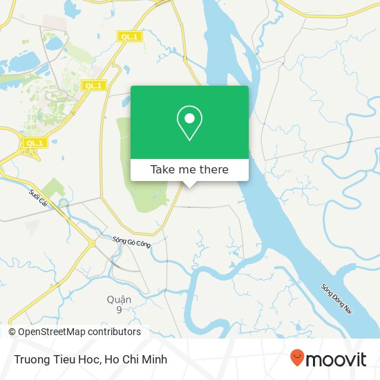 Truong Tieu Hoc map