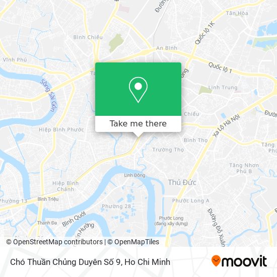 Chó Thuần Chủng Duyên Số 9 map