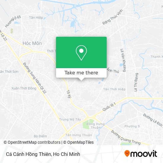 Cá Cảnh Hồng Thiên map