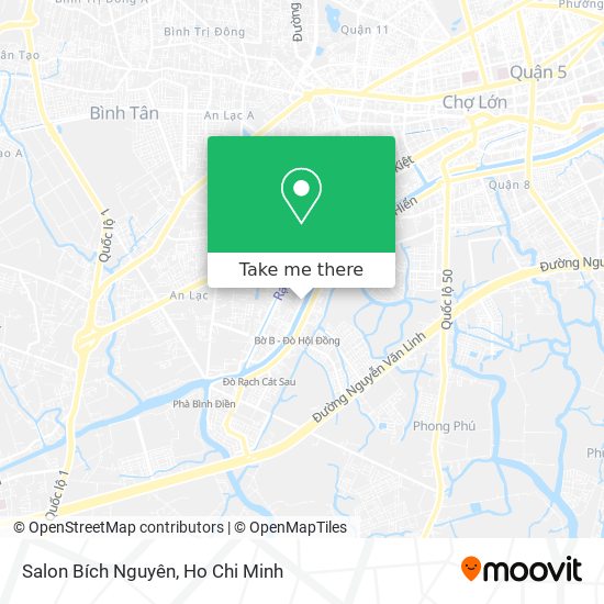 Salon Bích Nguyên map