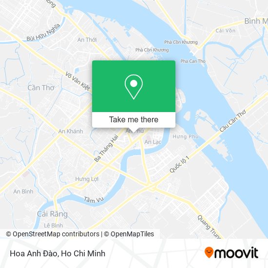 Hoa Anh Đào map