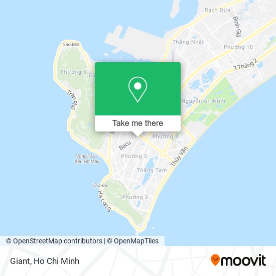 Giant map