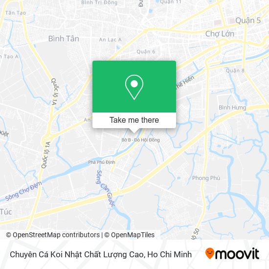 Chuyên Cá Koi Nhật Chất Lượng Cao map