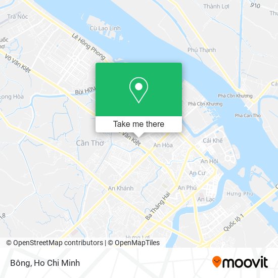 Bông map