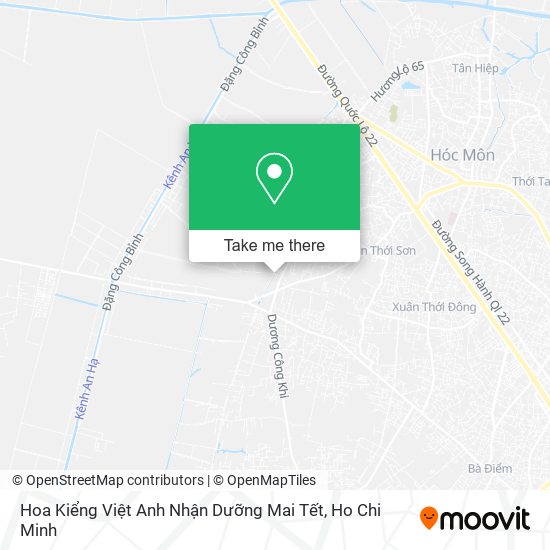 Hoa Kiểng Việt Anh Nhận Dưỡng Mai Tết map