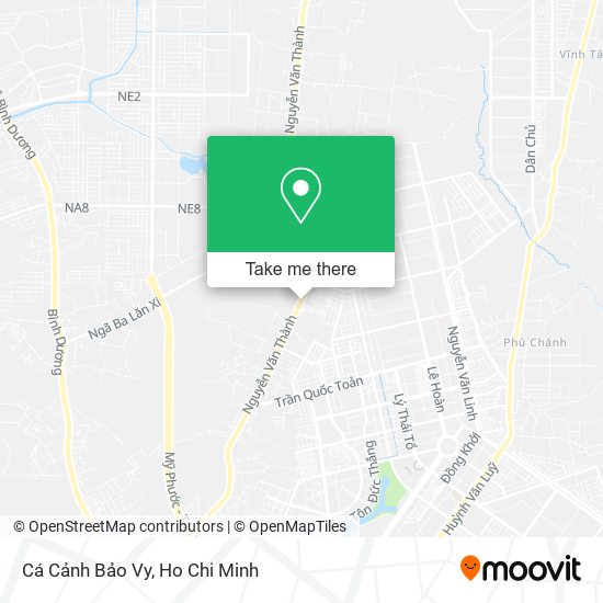 Cá Cảnh Bảo Vy map