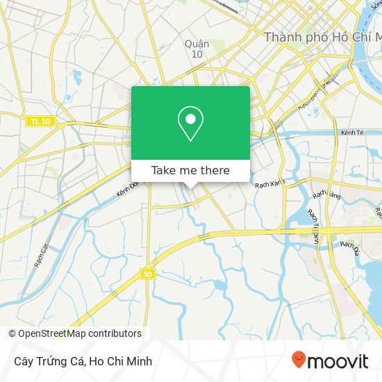 Cây Trứng Cá map