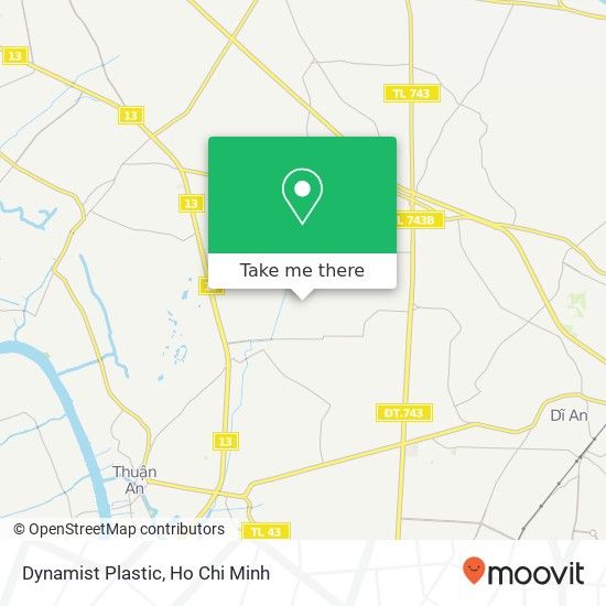 Dynamist Plastic map